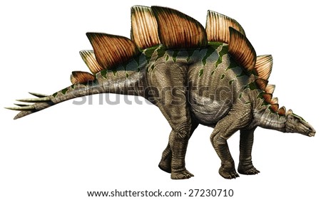 Stegosaurus Stock Photos, Images, & Pictures 