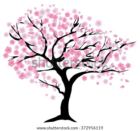 Vector Cherry Blossom Branches Pink Flowers Stock Vector 61631686