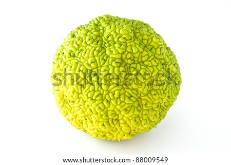 Round Green Fruit That Resembles Human Stock Photo 88009546 - Shutterstock