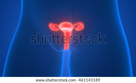 Eunuch masturbation ovary clit