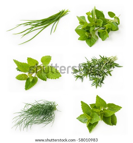 herbal medicine перевод
