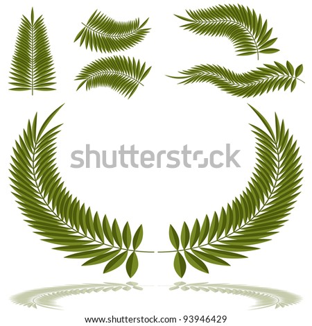 Palm Frond Stock Photos, Images, & Pictures | Shutterstock