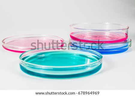 Petri Dishes Colored Liquids Isolated On Stock Photo Petri Dishes Colored Liquids Isolated On Stock Photo