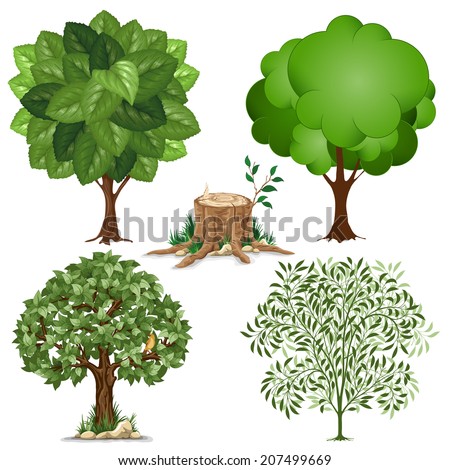 Tree-stump Stock Photos, Images, & Pictures | Shutterstock