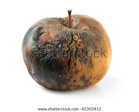 rotten apple isolated on a white background - stock photo
