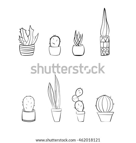 Image Result For Tropical House Plants Image Result For Tropical House Plants