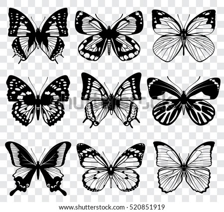 Vector butterflies isolated on transparent checkered background Vector butterflies isolated on transparent checkered background