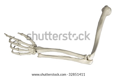 skeleton arm pattern - Google Search | Skeleton arm, Arm drawing, Skeleton