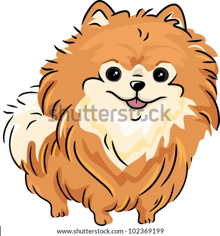 Illustration Featuring a Pomeranian - stock vector