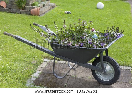decorative wheelbarrow