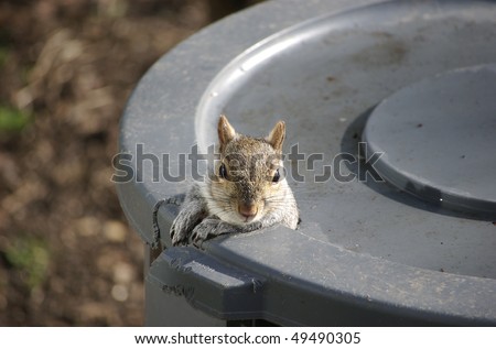 Totally Trashed Out Hole