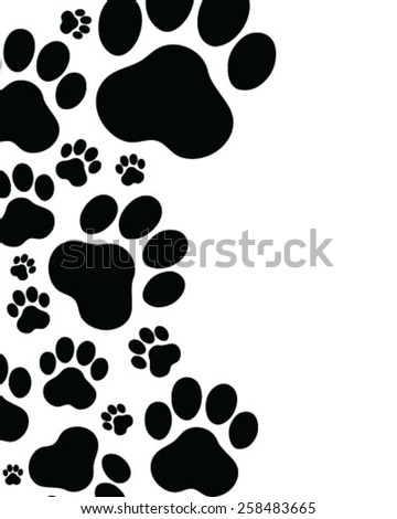 Pet Frame Square Stock Vector 78070594 - Shutterstock