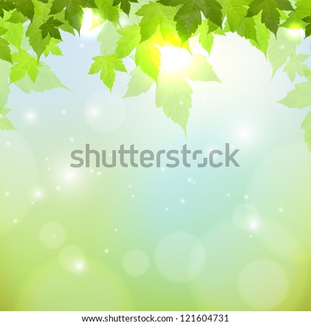Spring Tree Stock Photos, Images, & Pictures | Shutterstock