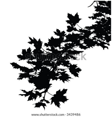 Vector Tree Set 1 Stock Vector 2857490 - Shutterstock