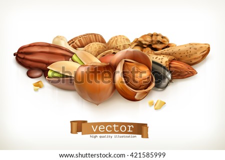 Nuts, vector illustration isolated on white - stock vector Nuts, vector illustration isolated on white - stock vector