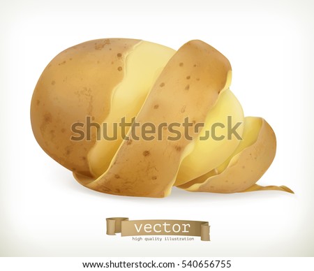 Vegetable potato peel spiral, vector food Vegetable potato peel spiral, vector food