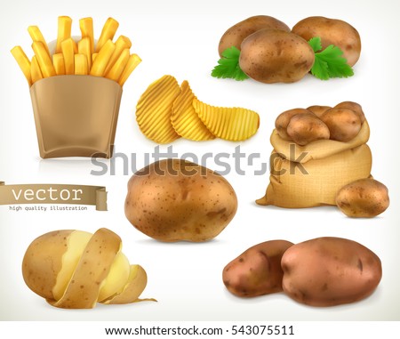 Potato and fry chips. Vegetable 3d vector icon set Potato and fry chips. Vegetable 3d vector icon set