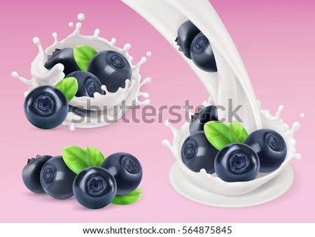 Milk splash and Blueberry, 3d vector object. Natural dairy products Milk splash and Blueberry, 3d vector object. Natural dairy products