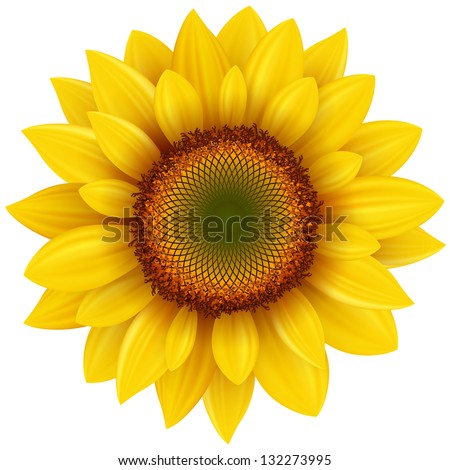 Sunflower Stock Photos, Royalty-Free Images & Vectors - Shutterstock