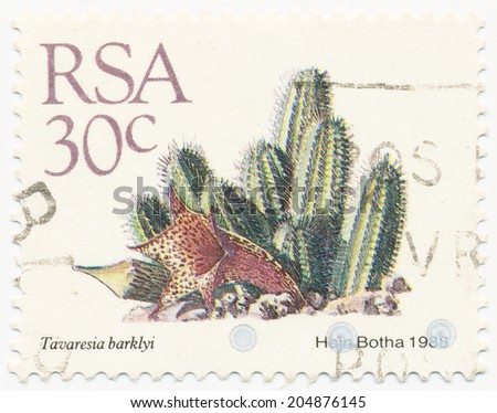 Stock options rsa