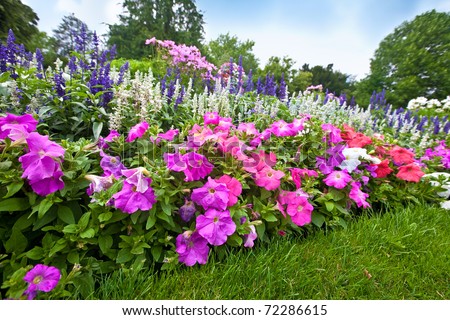 Flower garden Stock Photos, Flower garden Stock Photography ...