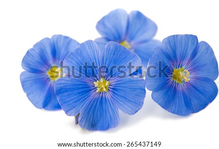 Flax Stock Photos, Images, & Pictures | Shutterstock