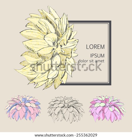 Feather Stock Vector 34657384 - Shutterstock