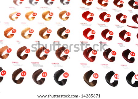 HAIR COLOR SAMPLE hair color sample: