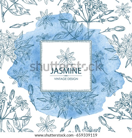 Watercolor background with jasmine: flower and leaves.Cosmetic, perfumery and medical plant. Vector hand drawn illustration Watercolor background with jasmine: flower and leaves.Cosmetic, perfumery and medical plant. Vector hand drawn illustration