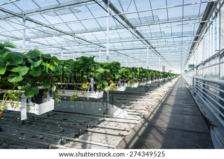 Horticulture Stock Photos, Images, & Pictures | Shutterstock