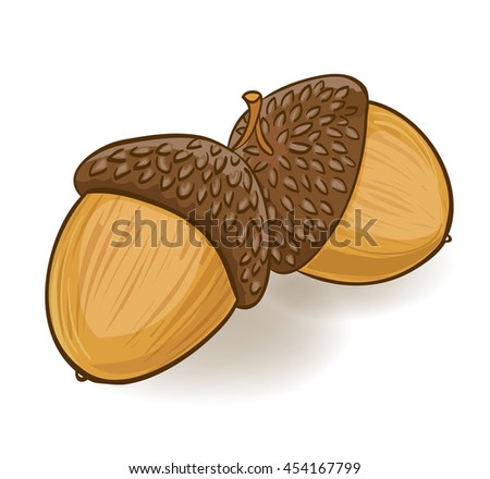 Acorn Stock Images, Royalty-Free Images & Vectors | Shutterstock