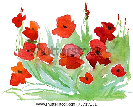 Painted Watercolor Poppies Stock Illustration 73719151 - Shutterstock