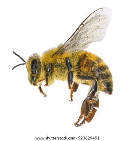 Protasov AN's Portfolio on Shutterstock