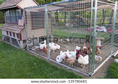 Chicken Coop Stock Photos, Images, &amp; Pictures | Shutterstock