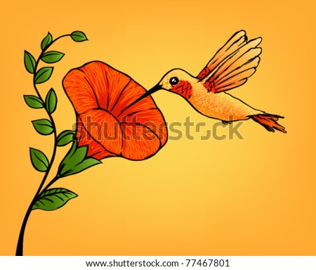Hummingbird background Stock Photos, Images, & Pictures | Shutterstock