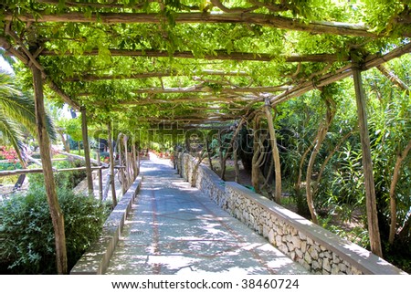 Grape arbor Stock Photos, Images, &amp; Pictures | Shutterstock