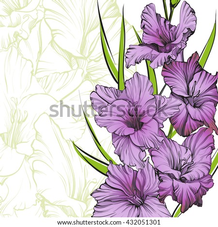 Gladiolus Stock Photos, Images, & Pictures | Shutterstock