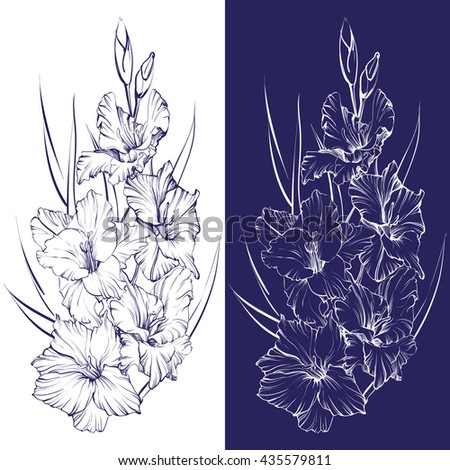 Gladiolus Stock Vectors, Images & Vector Art | Shutterstock