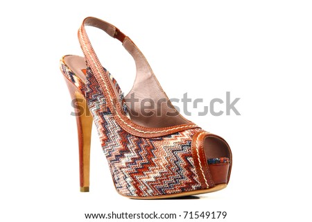 expensive shoe1 expensive shoe2