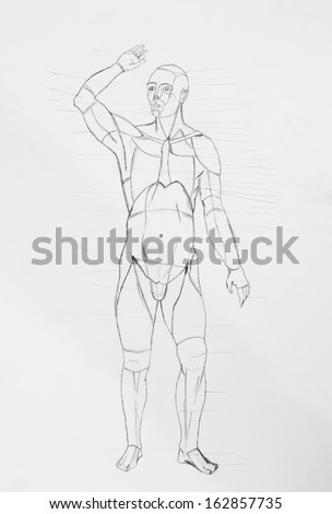 parts of the body pencil drawing