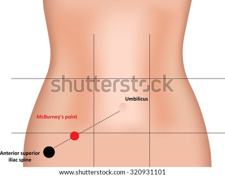 Umbilicus Stock Photos, Royalty-Free Images & Vectors ...