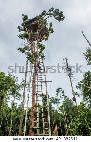 korowai tribe from new guinea essay Korowai tribe papua new guinea an excursion into the korowai forest, south-west new guinea - duration: 10:37 brunvit 198,247 views 10:37. korowai tribe from new guinea essay Korowai tribe papua new guinea an excursion into the korowai forest, south-west new guinea - duration: 10:37 brunvit 198,247 views 10:37.
