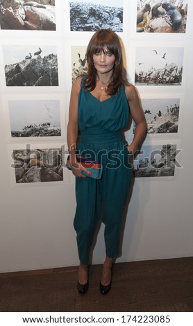  - stock-photo-new-york-ny-january-helena-christensen-attends-luxury-collection-hotels-resorts-174223085