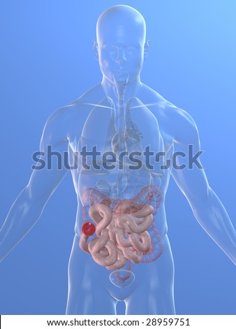 Stoma Stock Photos, Images, & Pictures | Shutterstock