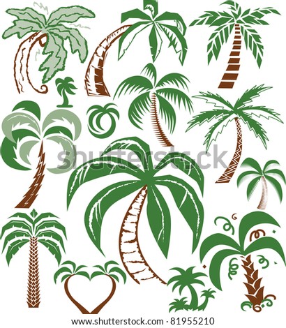 Palm Tree Collection Stock Vector 81955210 - Shutterstock