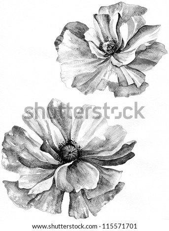 Black And White Flower Stock Photos, Images, & Pictures | Shutterstock