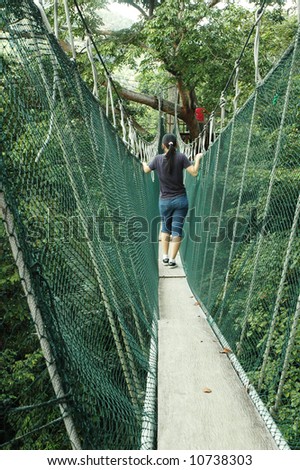 stock photo asian girl on a canopy walk in the forest 10738303