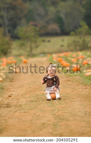 The Pumpkin Patch Oshkosh Wi
