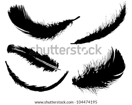 Stock Images similar to ID 165277973 - vector black feather icons set