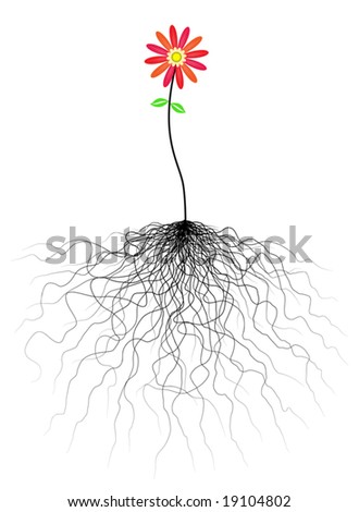 Flower Roots Stock Photos, Images, & Pictures | Shutterstock